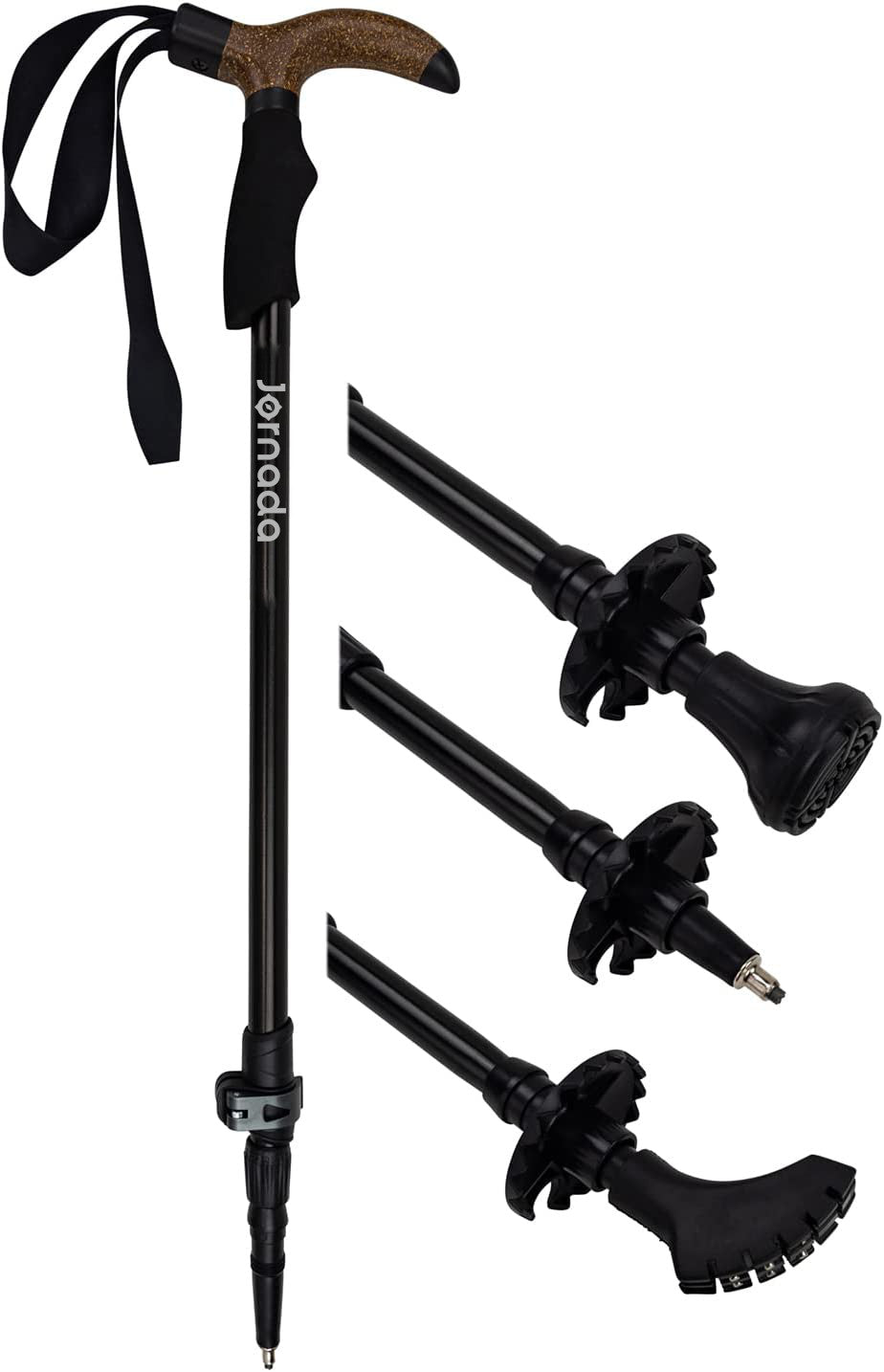 Jornada Wasatch 2-in-1 Cane Trekking Pole